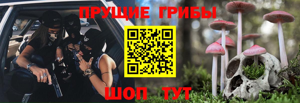 Псилоцибиновые грибы мицелий Бугульма